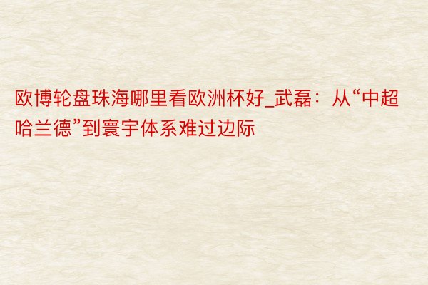 欧博轮盘珠海哪里看欧洲杯好_武磊：从“中超哈兰德”到寰宇体系难过边际