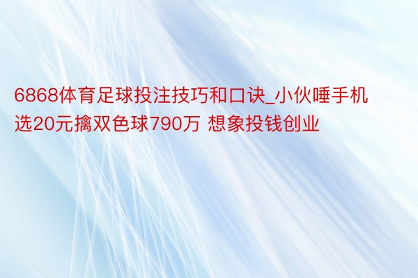 6868体育足球投注技巧和口诀_小伙唾手机选20元擒双色球790万 想象投钱创业